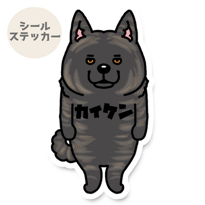カイケン。22-3
