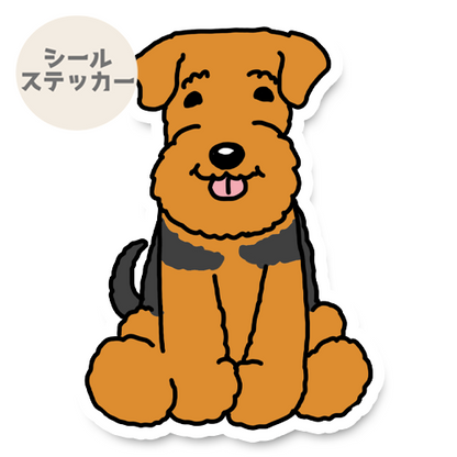 おすわりしてるウェルシュテリア/エアデールテリアさん。17-10/18-10