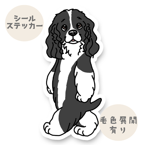 ちょっとそこまでイングリッシュスプリンガースパニエルちゃん。11-12