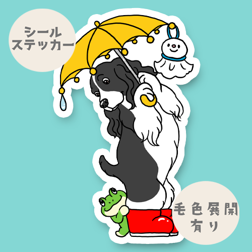 梅雨のお散歩で出会ったイングリッシュスプリンガーちゃん。11-11