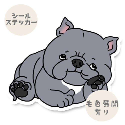 タイクツなアメリカンブリーちゃん。7-6
