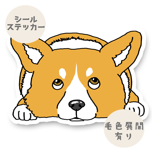 待ってるコーギーちゃん。15-8