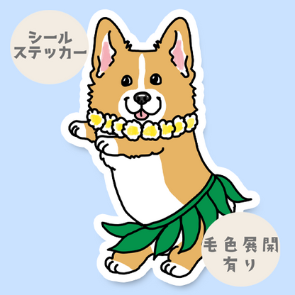 フラコーギーちゃん。15-17