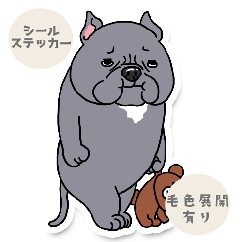 お留守番したくないアメリカンブリーちゃん。7-7