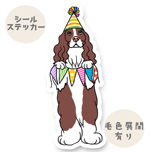 お祝いしてるイングリッシュスプリンガーちゃん。11-9