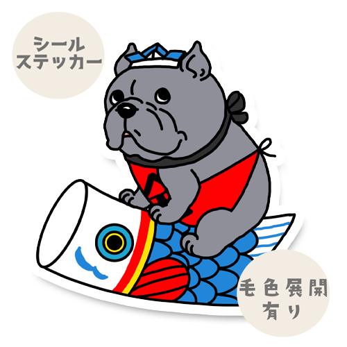 端午の節句のアメリカンブリーちゃん。7-9