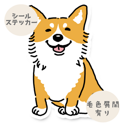 オスワリコーギーちゃん。15-22
