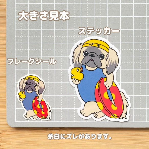 プールに来たペキニーズちゃん。97-
