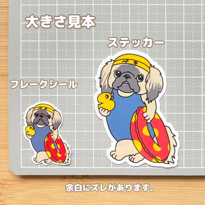 プールに来たペキニーズちゃん。97-