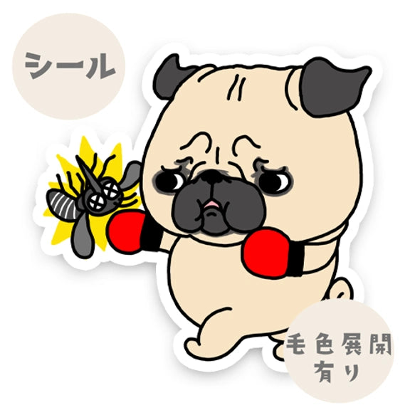 パグちゃんのフィラリア予防。76-