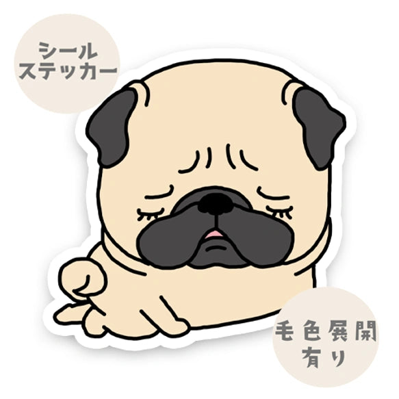 悲しいパグちゃん。76-