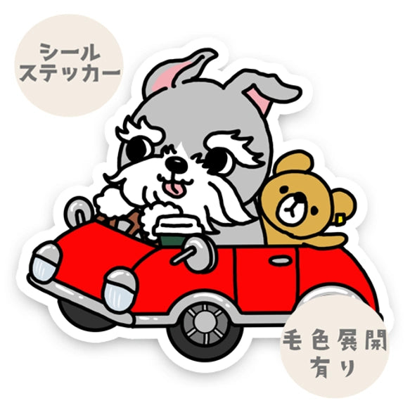 ドライブシュナウザーちゃん。44-16