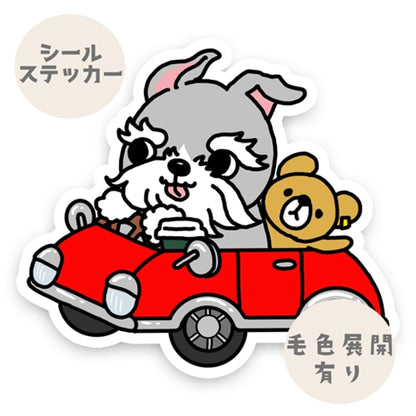 ドライブシュナウザーちゃん。44-16