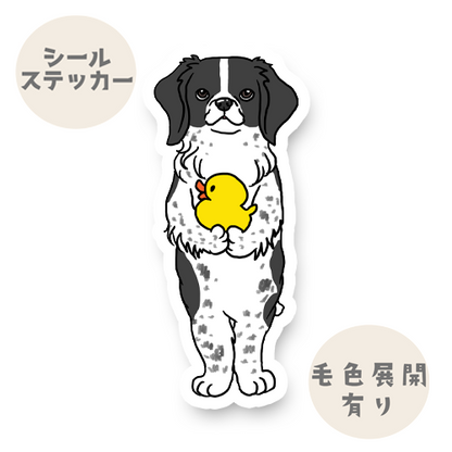 お留守番するブリタニースパニエルちゃん。125-