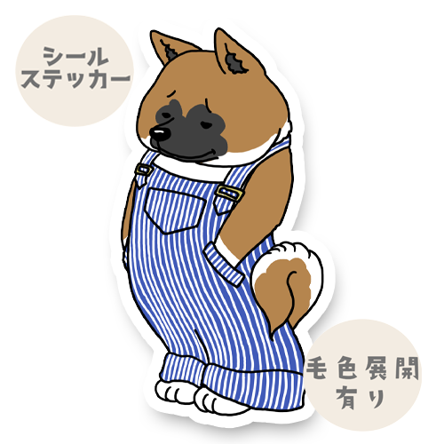 オーバーオールのアメリカアキタさん。6-7