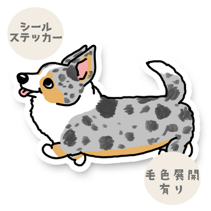 るんるんカーディガンさん。16-4