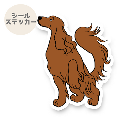 一緒にお出かけが嬉しすぎるアイリッシュセターさん。2-8