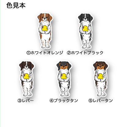 お留守番するブリタニースパニエルちゃん。125-