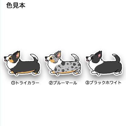 るんるんカーディガンさん。16-4