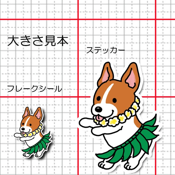 フラ立ち耳ジャックラッセルちゃん。43-16