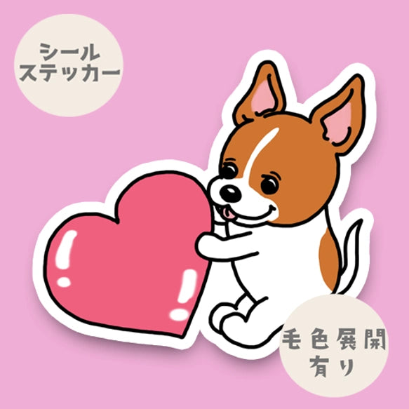 ハートを届けたい立ち耳ジャックラッセルちゃん。43−14
