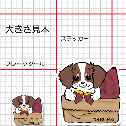 ヤキイモ大好きチワックスちゃん。60-10