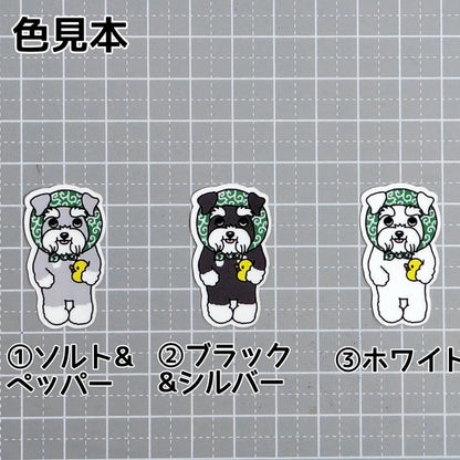 ほっかむりのシュナウザーちゃん。44-5