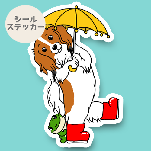 梅雨のお散歩のコイケルちゃん。31-22