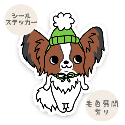 ポンポンパピヨンちゃん。80-