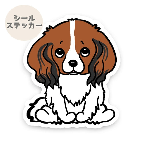 おすわりしてるコイケルちゃん。31-2
