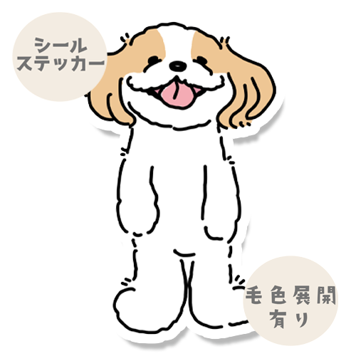 てへってしてるマルシーズーちゃん。108-11