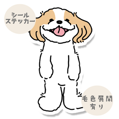 てへってしてるマルシーズーちゃん。108-11