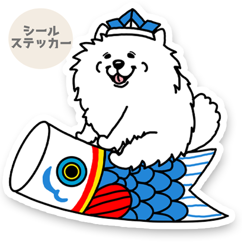 端午の節句のサモエドさん。33-23