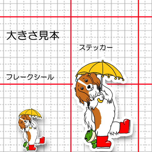 梅雨のお散歩のコイケルちゃん。31-22