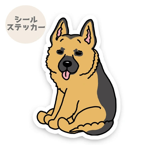 おすわりしてるジャーマンシェパードさん。36-2