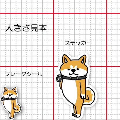 ヤッホー♪って待っててくれたアキタイヌ。3-6
