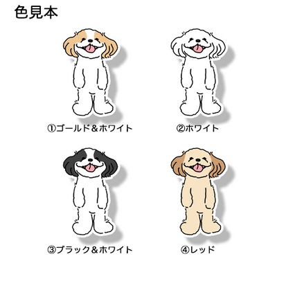 てへってしてるマルシーズーちゃん。108-11