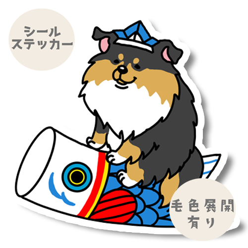 端午の節句のシェルティちゃん。38-19