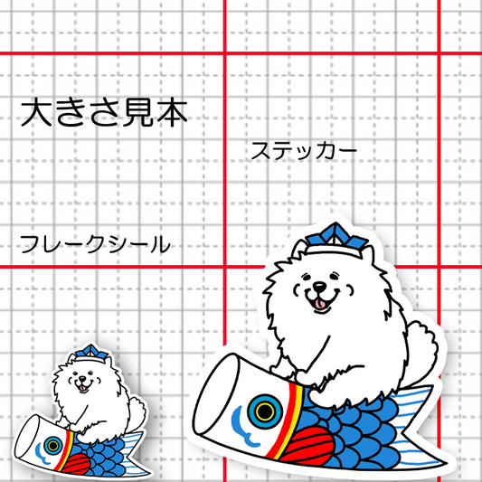 端午の節句のサモエドさん。33-23