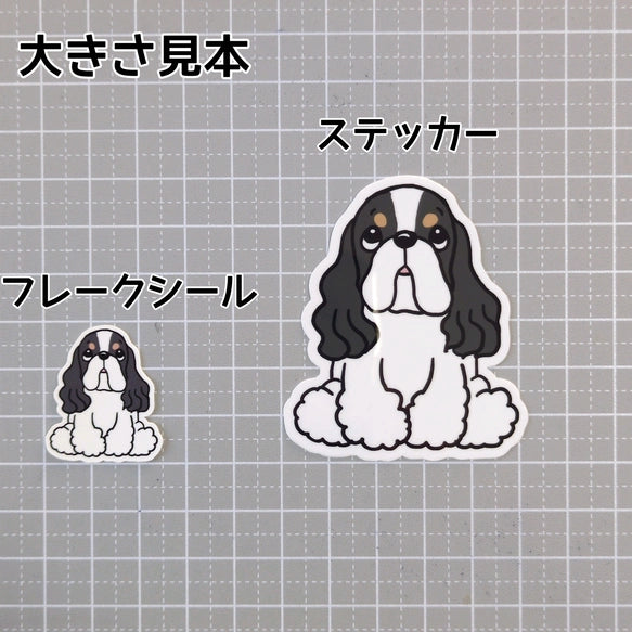 おすわりしてるアメコカちゃん。5-3