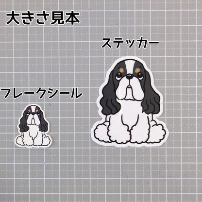 おすわりしてるアメコカちゃん。5-3
