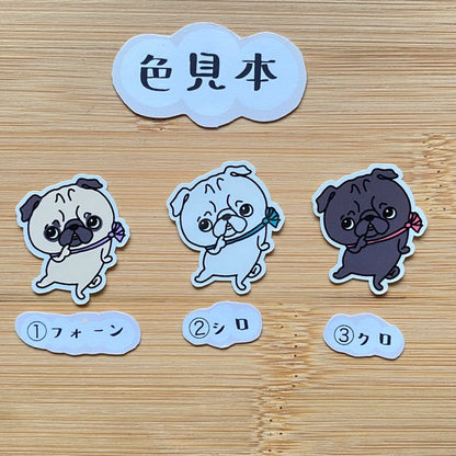 おねだりパグちゃん。76-