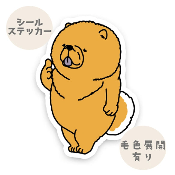 えっとね、って言ってるチャウチャウさん。59-5