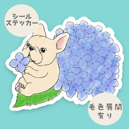 紫陽花の季節のフレブルちゃん。96−44