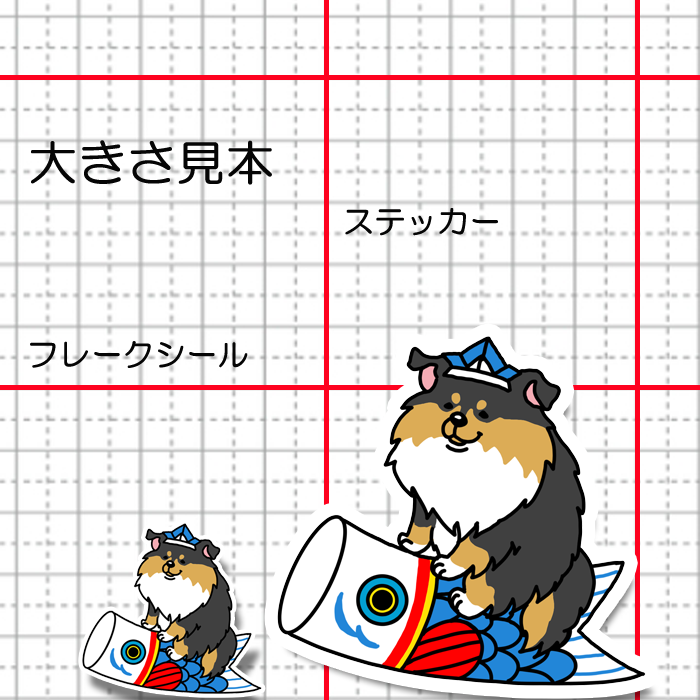 端午の節句のシェルティちゃん。38-19