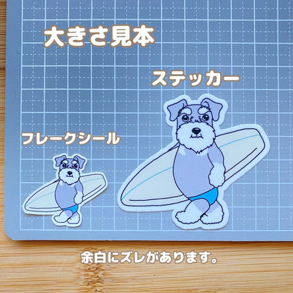サーファーシュナウザーちゃん。44-24