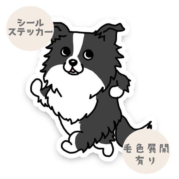 ルンルンボーダーコリーちゃん。106-