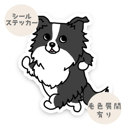 ルンルンボーダーコリーちゃん。106-