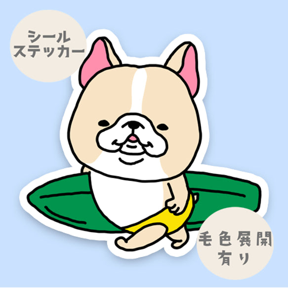 かわいいフレブルサーファー。96−129
