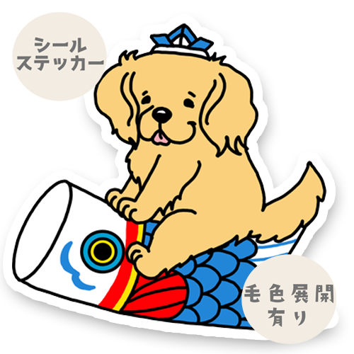 端午の節句のゴールデンちゃん。32-21